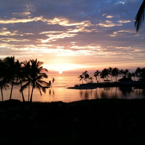 mohsank's profile picture. Yes I took that pic.