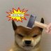 Luis (@luis15194253345) Twitter profile photo Luis (@luis15194253345) Twitter profile photo