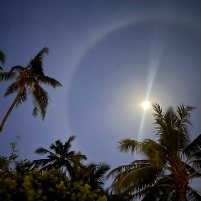 marymAls_34's profile picture. 