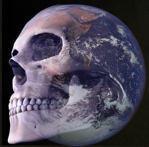 Welcome to Zeckos, Formerly known as Skull Planet, An accumulation of items to suit your unique style, gathered from the far reaches of the galaxy.