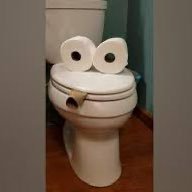 Geeked Toilet Profile
