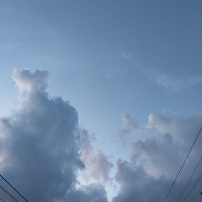 serさんのプロフィール画像