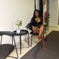 Bibi the bee🐝 (@bibithebeee) 's Twitter Profile