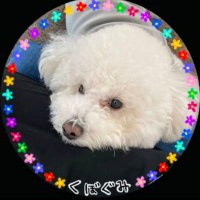 もふ🧢🛹ん…🍙すぅぅぅぅぅ〜😇 (@mofutabesty) 's Twitter Profile Photo もふ🧢🛹ん…🍙すぅぅぅぅぅ〜😇 (@mofutabesty) 's Twitter Profile Photo