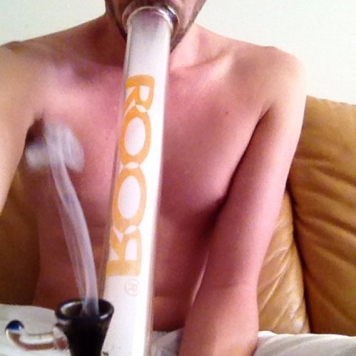 Bangdup561's profile picture. 