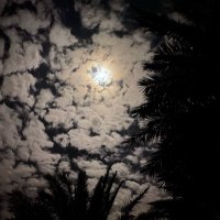 Fa (@f9oal3) 's Twitter Profile