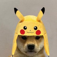 Oscar (@oscarweb0) 's Twitter Profile Photo Oscar (@oscarweb0) 's Twitter Profile Photo