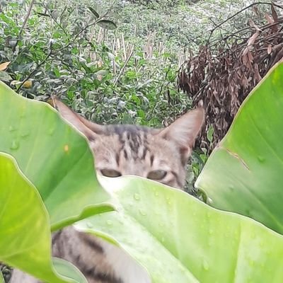 eeby neebyさんのプロフィール画像