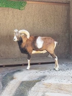 tPdFMdwhTM91469's profile picture. 社会人/ケビンスとライスとダイヤモンドとモダンタイムスのGERAが好きです。