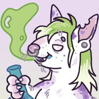 kushbreth.bsky.social (@kushbreth) 's Twitter Profile