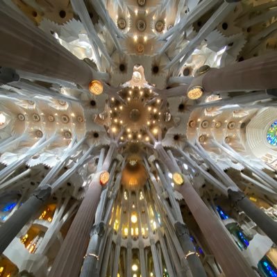 mikef68's profile picture. real person