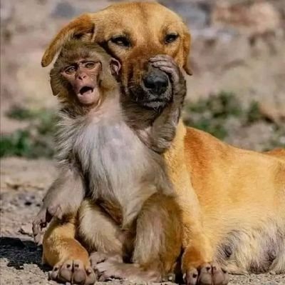 Cliffordflorah's profile picture. 