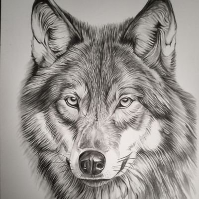 市村 秀人（kota） (@kota01131) / X