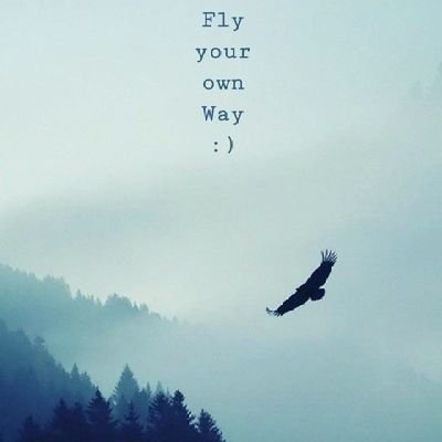 BalajiKolla14's profile picture. 