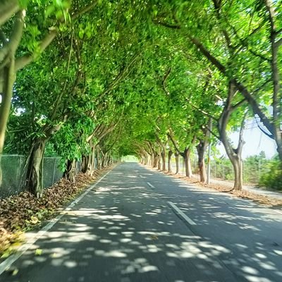 liuruijie20's profile picture. 我就是我