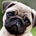Steven Rojas✸,✸ (@stevenr085) Twitter profile photo Steven Rojas✸,✸ (@stevenr085) Twitter profile photo