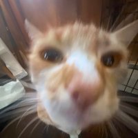 TJM (@tjm_irl) 's Twitter Profile