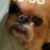 j.k.g.g.@ (@hina_asmr) Twitter profile photo j.k.g.g.@ (@hina_asmr) Twitter profile photo