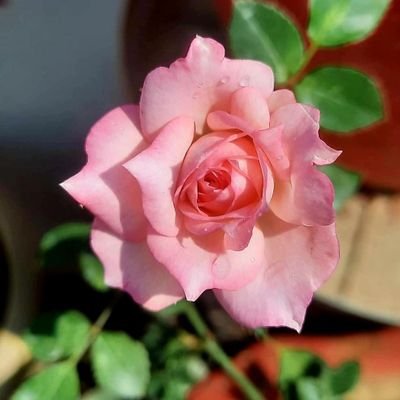 जीवन ऐसा हो जो संबंधों की कदर करे, और संबंध ऐसे हो जो याद करने को मजबूर कर दे...