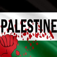 Mohammad Rashed (@mdrashed187251) 's Twitter Profile