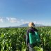 Safari Agriculture Youth Initiative Project (@safariagricult4) Twitter profile photo Safari Agriculture Youth Initiative Project (@safariagricult4) Twitter profile photo