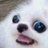 ay_duckさんのプロフィール画像