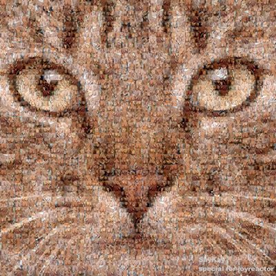 meiqiu_xu's profile picture. games read think