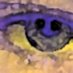Luuk (@intuitivities) Twitter profile photo Luuk (@intuitivities) Twitter profile photo