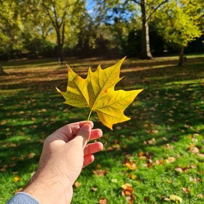 Javi_pqc's profile picture. No hay que tomarse la vida en serio,
al fin y al cabo no saldremos vivos de ella.