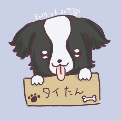 タイたんさんのプロフィール画像