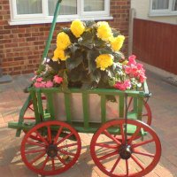 Sue Hughes (@suekenmax) 's Twitter Profile Photo