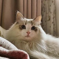 U (@_onnn8) 's Twitter Profile