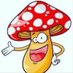 mycologyshrooms House (@wilfredbryon1) Twitter profile photo mycologyshrooms House (@wilfredbryon1) Twitter profile photo