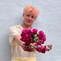 퍙퍙혜🥥 (@seestarq) 's Twitter Profile Photo
