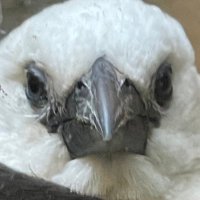 ムギたや (@yokukinin) 's Twitter Profile