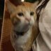 mksudjk (@moomth23) Twitter profile photo mksudjk (@moomth23) Twitter profile photo