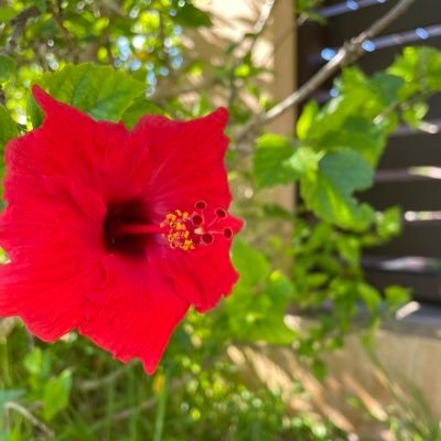 rAJLxn2J6F69632's profile picture. 