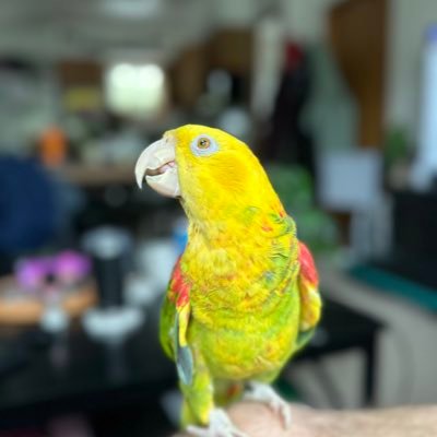 mcwill89's profile picture. Jackhole. Goodnight Doc Thompson wherever you are