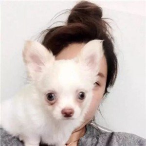 xiao_yi37991's profile picture. 