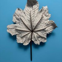 Wuuang (@wuuang0) 's Twitter Profile