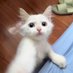 秋🐟 (@yi_wei4457) Twitter profile photo 秋🐟 (@yi_wei4457) Twitter profile photo