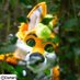 Dekyr (@dekyrch) Twitter profile photo Dekyr (@dekyrch) Twitter profile photo