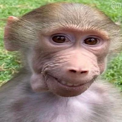 p0ch4ccoluvr's profile picture. rhett and link enthusiast, 19