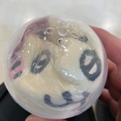 toushi_corgiinu's profile picture. 