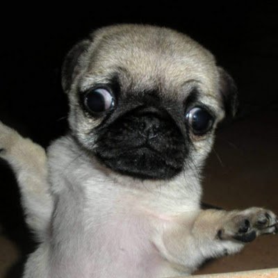 AubreonnaM63353's profile picture. 