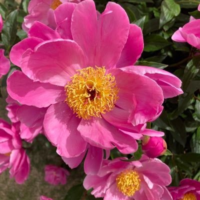 7Gu2S5vHFcd2Ilc's profile picture. 日本の未来を憂う元校長 思いついたり､いいなぁと思ったことをつぶやいてます。