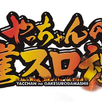 やっちゃん様 確認用 防犯灯カメラ みてるちゃん5Plus(プラス) 【キャンペーン！】2台セット