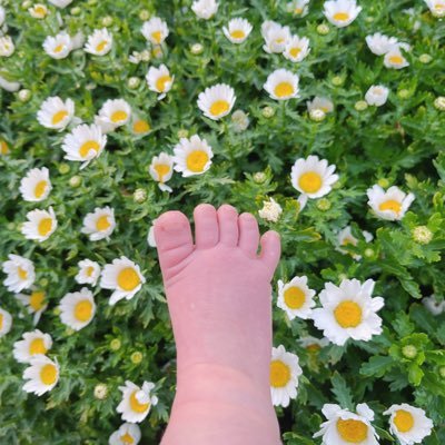 Karin52837229's profile picture. 失意悠然，得意泰然