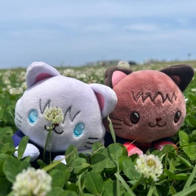 sp8e46g9's profile picture. あっち行ったりこっち行ったり節操ない系20↑成人済み腐女子 めったに呟かない 今はごゆとktdkにお熱 リバ逆苦手:最近は肩強ちゃん達と旅行の写真撮って楽しんでます