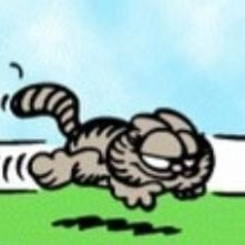 gatito rajado é pesquisador 💅さんのプロフィール画像